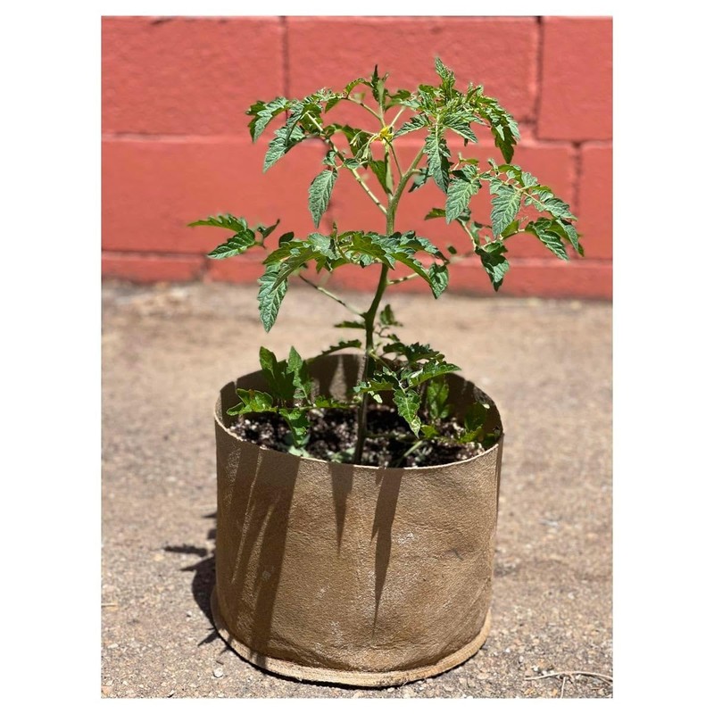 5 Gallon Grassroots Living Soil Pot