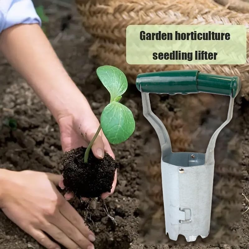 AIMALL Gardening Seedling Lifter Transplanter Tool – 8.7in Durable Zinc-Plated