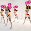 Aimengyingaizimo 2 Pack Pom Poms Cheerleading, Cheerleading Pom Poms for