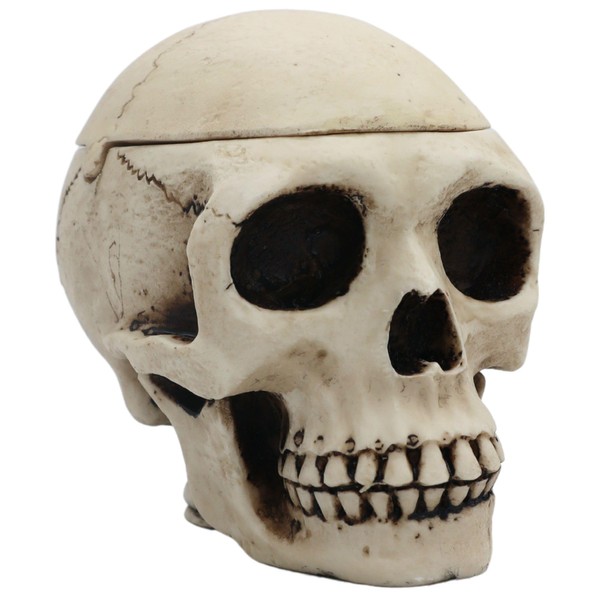 Skeleton Skull Box Ashtray | Gothic Creepy Room Decor with