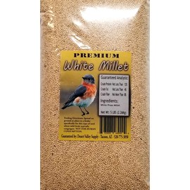 Desert Valley Premium White Millet Proso Seeds - Wild Bird Food, Cardinal, Finch & More (5-Pounds)