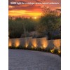 LEONLITE 5CCT Low Voltage LED Landscape Spotlight, Update 1800K2700K3000K4000K5000K Selectable,