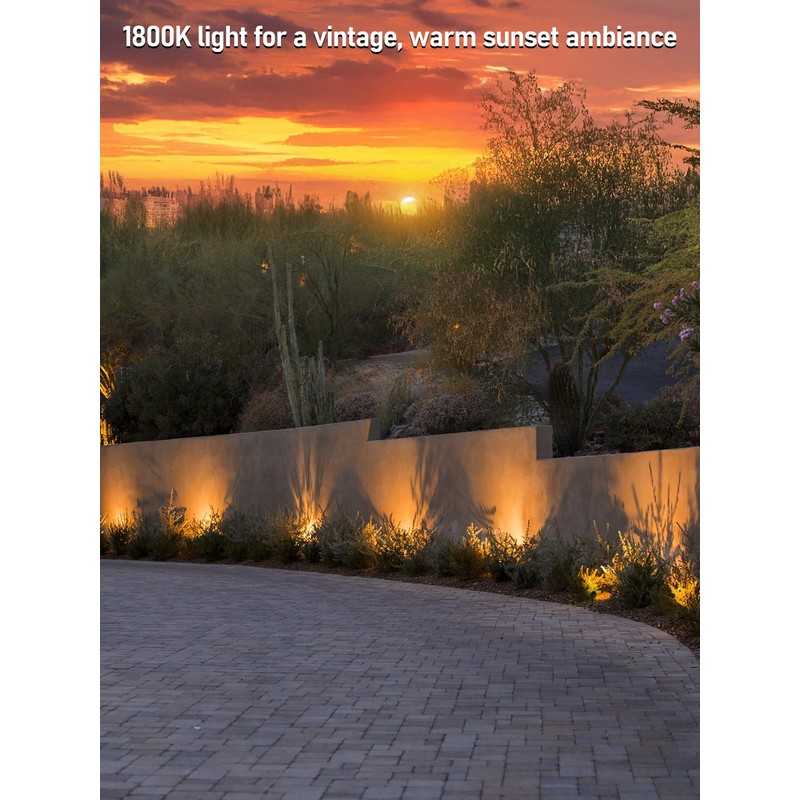 LEONLITE 5CCT Low Voltage LED Landscape Spotlight, Update 1800K2700K3000K4000K5000K Selectable,