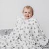 DaisyGro Luxury Swaddle Blankets, Certified Organic Muslin Cotton, 3 Unisex