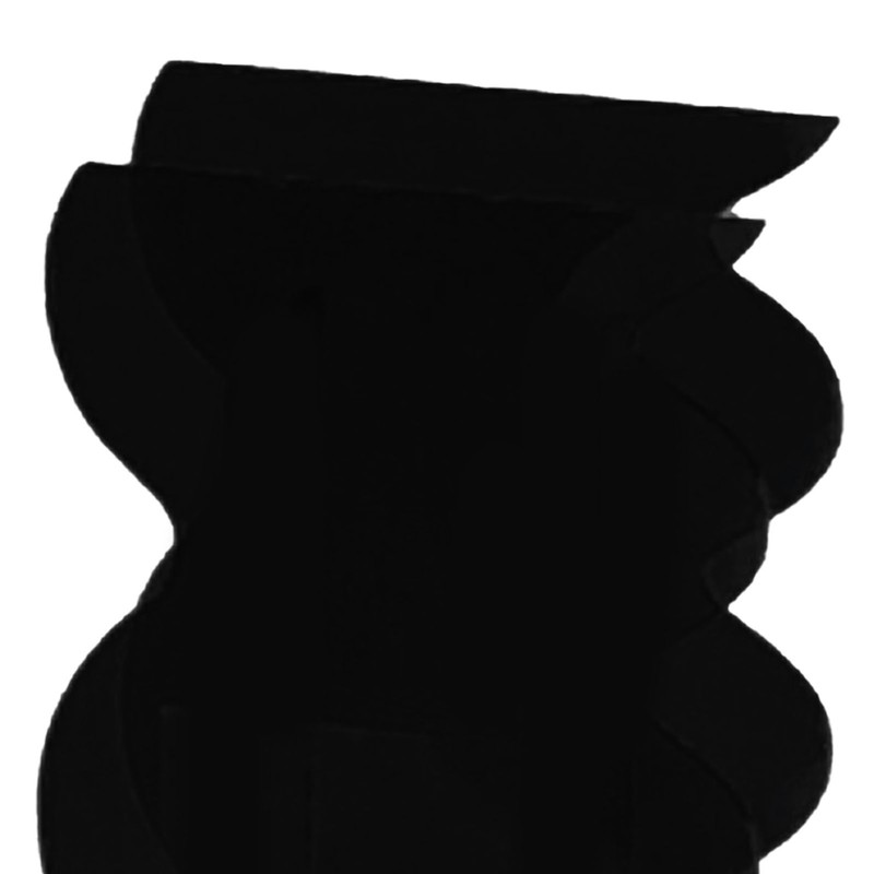 Flower Vase Modern Acrylic Decorative Unique Wavy Shape Vase for