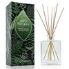 Urban Naturals Oud Reed Diffuser Set – Bergamot, Raspberry, Oud,