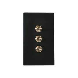 Aruastudio Retro Interior Light Switch ON-Off Set, Switch Panel, Toggle Switch 15A, 110V-250V, AC, 2Pin (Black 003 Silver)