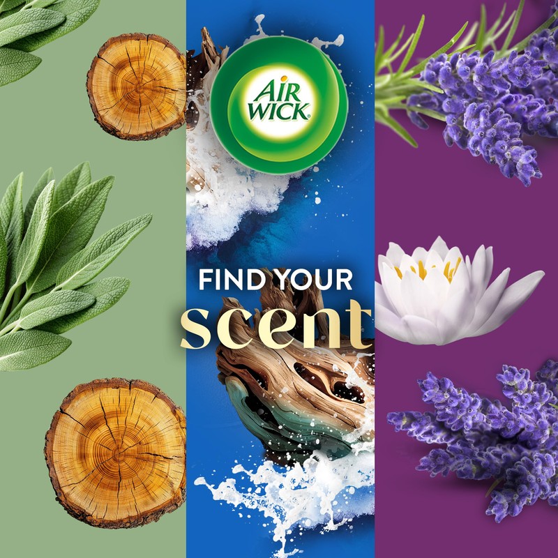Air Wick Vibrant Plug In Scented Oil Refill,White Sage &