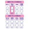 Jumbo Pack Charm-Napkins, Water Absorbent, For Small Amounts, No Wings,