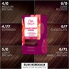 Wella Professionals Color Touch Demi Permanent Hair Colour without Ammonia
