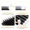 KOLYBEL W Shape Eyelash Extension 8D Pre made Fan Lash