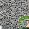 45LB River Rocks,Mexican Beach Pebbles for Plants,Potting,Garden Landscape Stone Paving