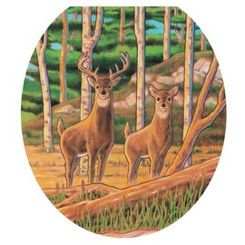 Toilet Tattoos TT-1113-R Deer in Woods Decorative Applique for Toilet Lid, Round