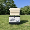 Cooler Stand,Ice Box Holder - Foldable Multifunctional Cooler Stand for