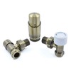Delta Modern Thermostatic Radiator Valve and Lockshield | Angled |