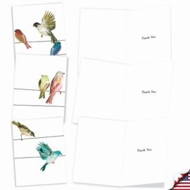 The Best Card Company - Boxed Set of 10 Bird Thank You Notecards with Envelopes 4 x 5.12 inch, Feathered Animal Gratitude - High Wire Birds M2318