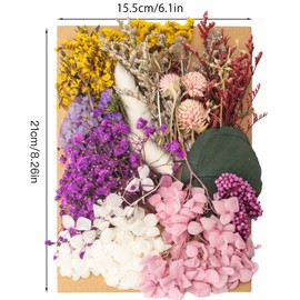 LAUMOE Dried Flowers, Dried Flowers, Dried Flowers for Crafts, Dried Flowers, Small Dried Flowers Set for Art, DIY, Resin, Scrapbooking, Crafts, Cards Making (Style 3)