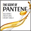 Pantene Pro-V Daily Moisture Renewal Shampoo, 1.7 Fluid Ounce