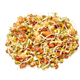 4 Oz - Handy Pantry 5 Part Salad Sprout Mix - Organic Non-GMO Mixed Seeds - Organic Broccoli Sprouting Seeds, Radish Sprout Seeds, Alfalfa Sprout Seeds, Lentil Seeds, and Mung Bean Seeds for Sprouting