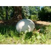 KIRA SEEDS - Giant Puffball Mushrooms Spores - Heirloom -