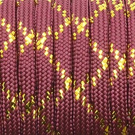 1pcs New Gold Silver Cord 550 Paracord Parachute Cord Lanyard Mil Spec Type III 7 Strand Core 100 FT (PFJ-16)