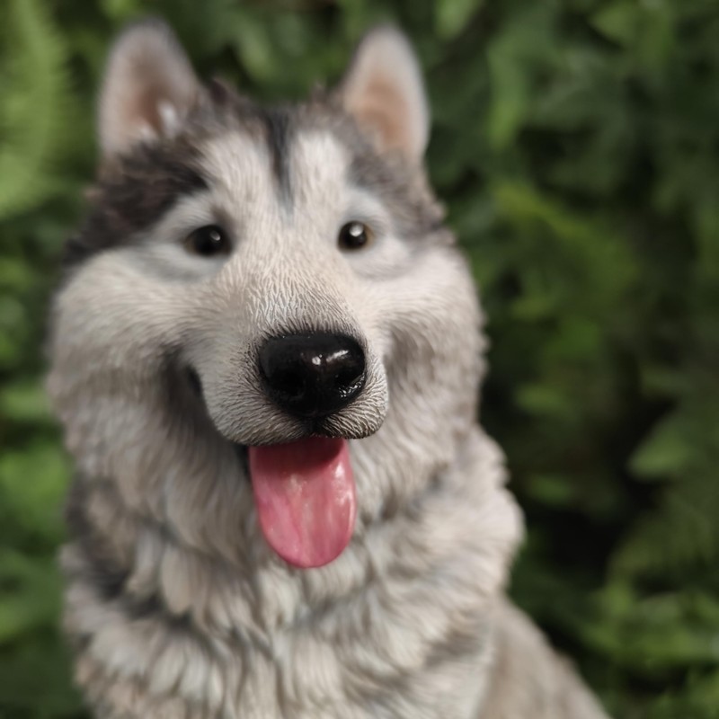 Vivid Arts - Malamute Husky - Indoor Outdoor Garden Ornament