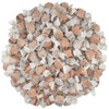 All Color Gourmet Saltwater Taffy (Maple, 2 LB)