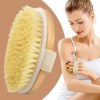 Cepillo Corporal Barato Natural Bristle Para Exfoliar Zz /.