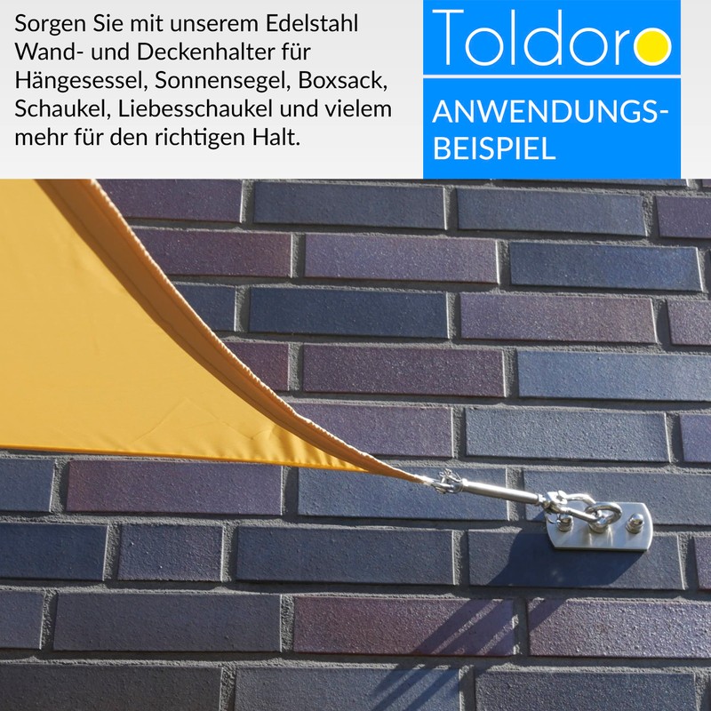Toldoro® Ceiling Mount & Wall Bracket Made of Stainless Steel/Rustproof