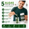 Polvo 5 Algas Premium Nutrigenoma Bienestar Interior Oferta