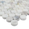 MSI Cloudland Round Pattern Polished Marble Mosaic Floor and Wall