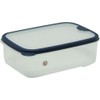 Iwasaki Industries Pack Case Blue A-036