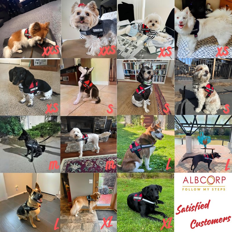 ALBCORP Service Dog Vest Harness – Reflective, No-Pull Harness with