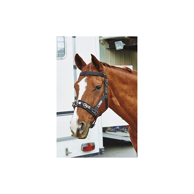 Kincade Coordinate Lunge Cavesson, Black, Cob