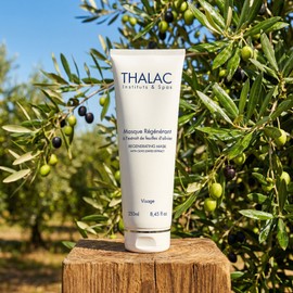 Tala Olive Pack Regenerating Mask 250ml Moist and Smooth Tala Sample Paper 10+Tala Spatura / 탈라 올리브팩 리제너레이팅마스크 250ml 촉촉 매끄러움 탈라 샘플지10+탈라스파추라