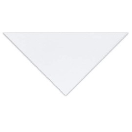 Fabriano Artistico, 22 x 30 300 GSM / 140 lbs - Extra White Cold-Press - 4 Deckles (10 Sheet Package)