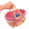 Wicker Picnic Basket, Natural Wicker Basket with Handle, Handy Wicker