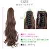 BrightLala f104-RTN Ponytail Wig, Long, Natural Clip, Gradient Ponytail Wig
