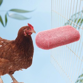 Chick Chewing Toys, Bird Calcium Teeth Chew Toy, Chicken Cage Accessories, Grinding Stone for Cockatiels Parakeets Parrots Budgies Rat Hamster Bunny (Pink, One Size)