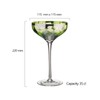 Artland ART30111PK2 Gin Glasses Champagne Saucers