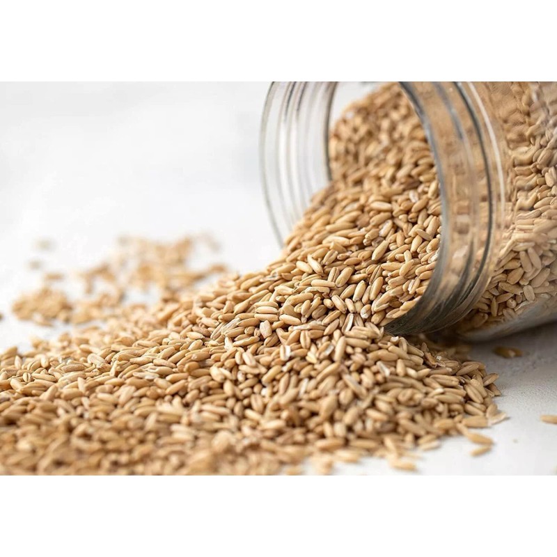 Food to Live Organic Oats 48 Ounce Non GMO Whole