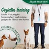 bluzelle Recall 5800 Professional Dog Whistle with Strap for Dog