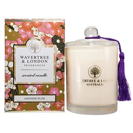 Wavertree & London Organic Japanese Plum Scent Soy Wax Candle | Non Toxic 100% Cotton Wick Triple Scented Pure Natural Soy Wax Candles, Hand Poured in Australia | 60 Hours Burning Time, 11.66 Oz