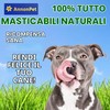 AnnonPet® 10 Orecchie di Manzo Essiccate per Cani – Snack