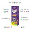 Natures Aid Immune Plus Mini Drops for Infants and Children,