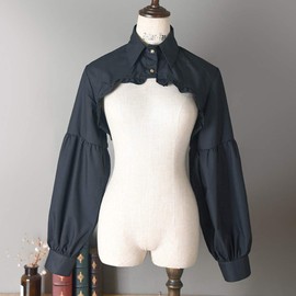 Elegtiskas Detachable Dickey Blouse False Collar Half Shirt Blouse Collar Crop Top