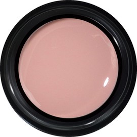 PRE GEL PG-CE924 Color Gel Color EX Glossy Skin 0.1 oz (3 g) UV/LED Compatible