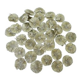 Embroiderymaterial Gota Patti Flowers Appliques Patches for Embroidery Decoration and Craft Making(Silver 100 Pieces)
