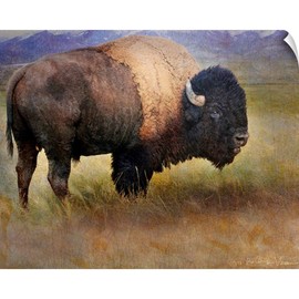 CANVAS ON DEMAND Bison Portrait II Wall Decal, Wildlife Artwork