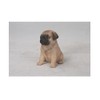 Hi Line Sitting Pug Puppy Figurine,Brown/Tan